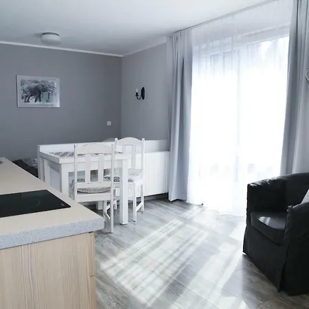 4 Strony Swiata 德兹维济诺