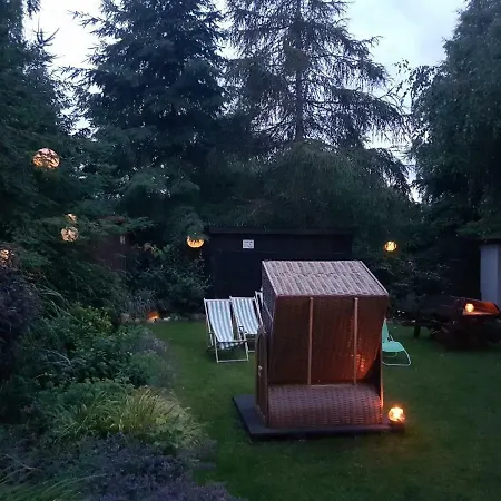 4 Strony Swiata * ジビジノ