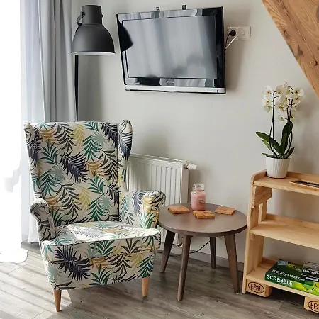 4 Strony Swiata 公寓 德兹维济诺